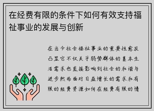 在经费有限的条件下如何有效支持福祉事业的发展与创新