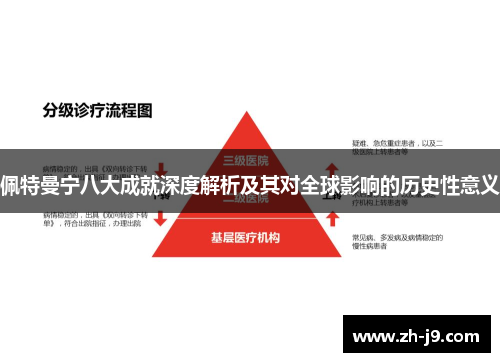 佩特曼宁八大成就深度解析及其对全球影响的历史性意义