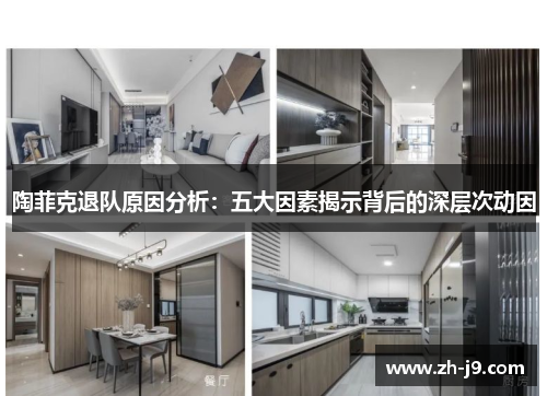 陶菲克退队原因分析：五大因素揭示背后的深层次动因